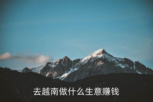 去越南做什么生意賺錢