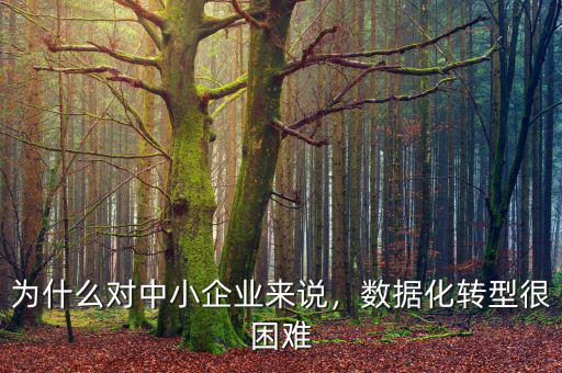 為什么對(duì)中小企業(yè)來說，數(shù)據(jù)化轉(zhuǎn)型很困難