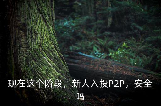 現(xiàn)在這個(gè)階段，新人入投P2P，安全嗎