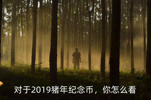 對于2019豬年紀念幣，你怎么看