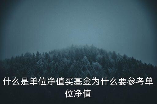 什么是基金單位凈值,買(mǎi)基金為什么要參考單位凈值