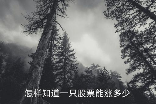 安源股票能漲到多少,怎樣知道一只股票能漲多少