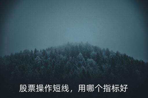 短線看什么指標(biāo)好,短線炒股看什么指標(biāo)最好