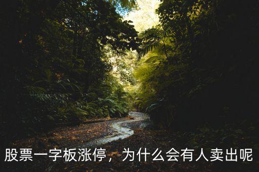 為什么股票漲停了還有人買(mǎi),為什么還有人買(mǎi)