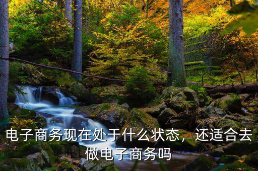 電子商務(wù)現(xiàn)在處于什么狀態(tài)，還適合去做電子商務(wù)嗎