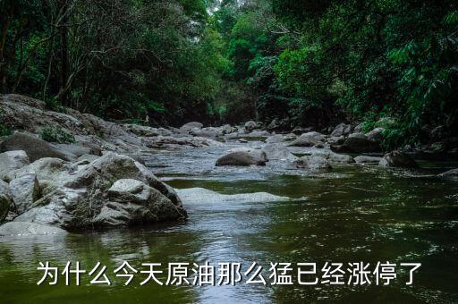 為什么今天原油那么猛已經(jīng)漲停了