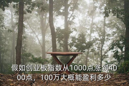 萬(wàn)林股票大概能漲多少,100萬(wàn)大概能盈利多少