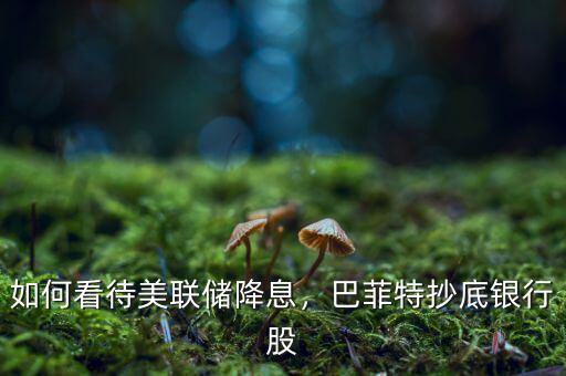 如何看待美聯(lián)儲(chǔ)降息，巴菲特抄底銀行股