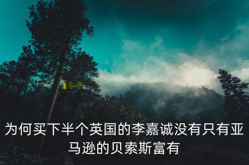 李嘉誠(chéng)的身家有多少,李嘉誠(chéng)總資產(chǎn)多少億