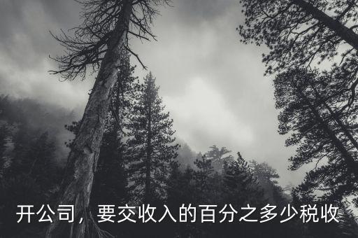 開公司，要交收入的百分之多少稅收