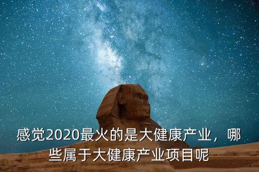 感覺2020最火的是大健康產(chǎn)業(yè)，哪些屬于大健康產(chǎn)業(yè)項目呢