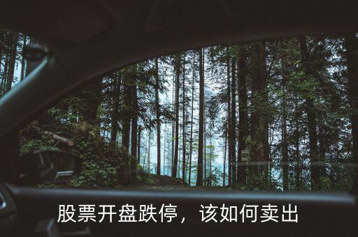 股票開盤跌停，該如何賣出