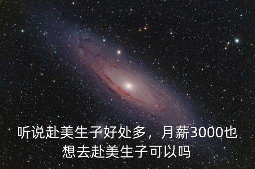 聽(tīng)說(shuō)赴美生子好處多，月薪3000也想去赴美生子可以嗎