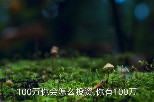 你有100萬(wàn)你會(huì)怎么投資,你有100萬(wàn)