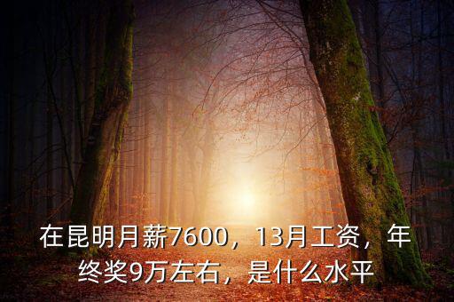 在昆明月薪7600，13月工資，年終獎9萬左右，是什么水平