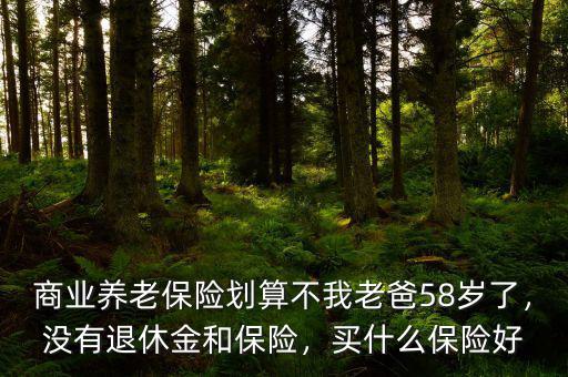 商業(yè)養(yǎng)老保險(xiǎn)劃算不我老爸58歲了，沒有退休金和保險(xiǎn)，買什么保險(xiǎn)好