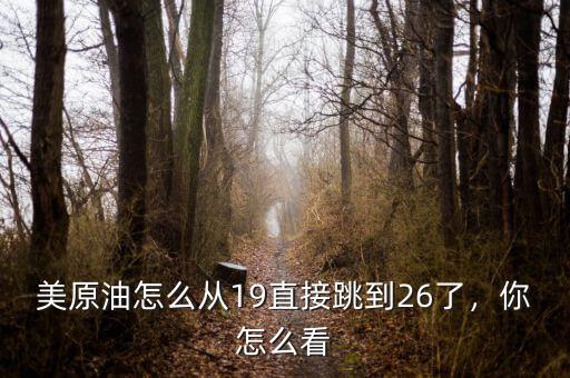 美原油怎么從19直接跳到26了，你怎么看