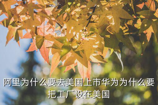 阿里為什么要去美國(guó)上市華為為什么要把工廠(chǎng)設(shè)在美國(guó)