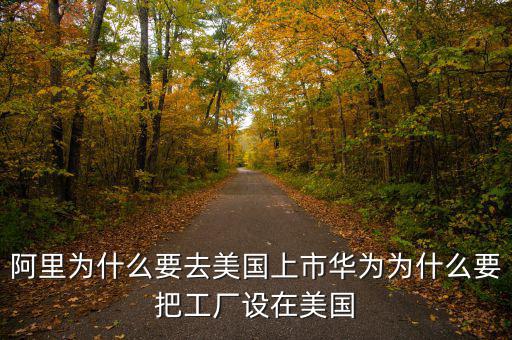 為什么阿里巴巴要跑去國外上市,阿里為什么要去美國上市