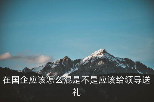 沒有關(guān)系在國(guó)企怎么混,在國(guó)企應(yīng)該怎么混