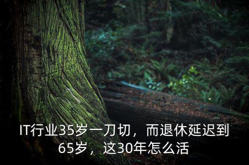 IT行業(yè)35歲一刀切，而退休延遲到65歲，這30年怎么活