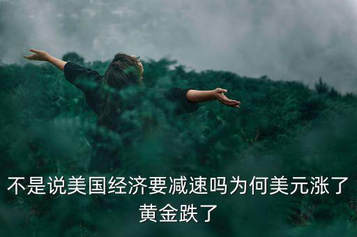 不是說美國經(jīng)濟要減速嗎為何美元漲了黃金跌了