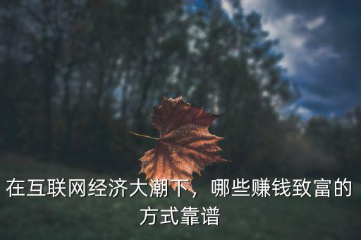 互聯(lián)網(wǎng)經(jīng)濟(jì)怎么賺錢,互聯(lián)網(wǎng)創(chuàng)業(yè)靠什么賺錢