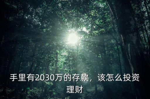 手里有2030萬的存款，該怎么投資理財