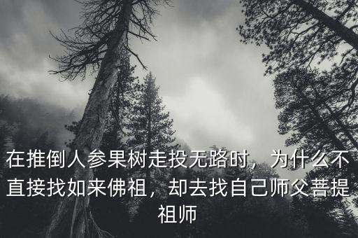 人參為什么不,為什么不直接找如來佛祖