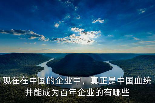 現(xiàn)在在中國(guó)的企業(yè)中，真正是中國(guó)血統(tǒng)并能成為百年企業(yè)的有哪些