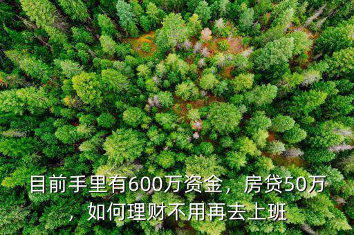 目前手里有600萬資金，房貸50萬，如何理財不用再去上班