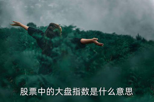 股票中的大盤指數是什么意思