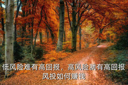 高風(fēng)險(xiǎn)高回報(bào)英文怎么說,高風(fēng)險(xiǎn)就有高回報(bào)