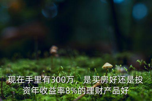 300萬(wàn)投資怎么算回報(bào),300萬(wàn)集中投資黃金