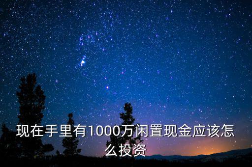 現(xiàn)在手里有1000萬閑置現(xiàn)金應(yīng)該怎么投資