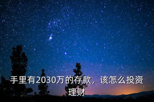 手里有2030萬的存款，該怎么投資理財