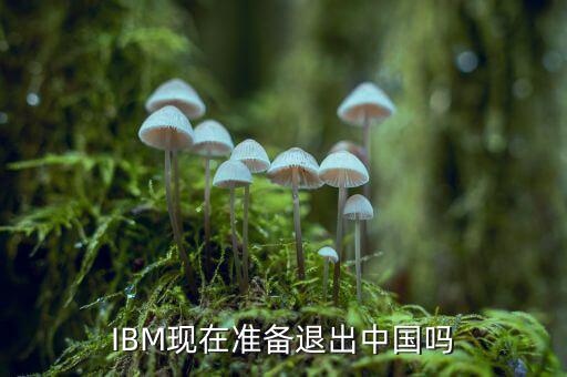 IBM現(xiàn)在準備退出中國嗎