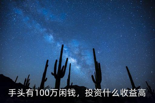 手頭有100萬閑錢，投資什么收益高