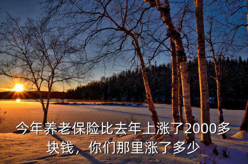 今年養(yǎng)老保險比去年上漲了2000多塊錢，你們那里漲了多少