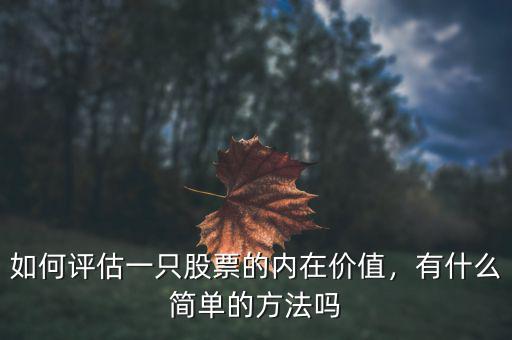 如何評(píng)估一只股票的內(nèi)在價(jià)值，有什么簡(jiǎn)單的方法嗎