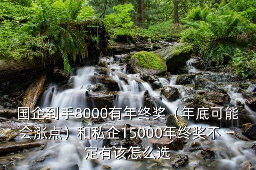 國企到手8000有年終獎(jiǎng)（年底可能會(huì)漲點(diǎn)）和私企15000年終獎(jiǎng)不一定有該怎么選