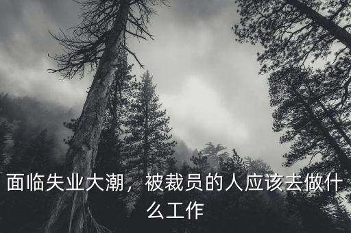 面臨失業(yè)大潮，被裁員的人應該去做什么工作