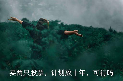 買兩只股票，計劃放十年，可行嗎