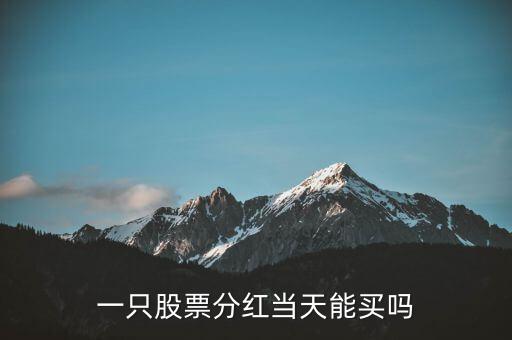 一只股票分紅當(dāng)天能買(mǎi)嗎