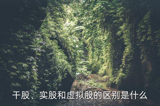 什么是虛擬股權,實股和虛擬股的區(qū)別是什么