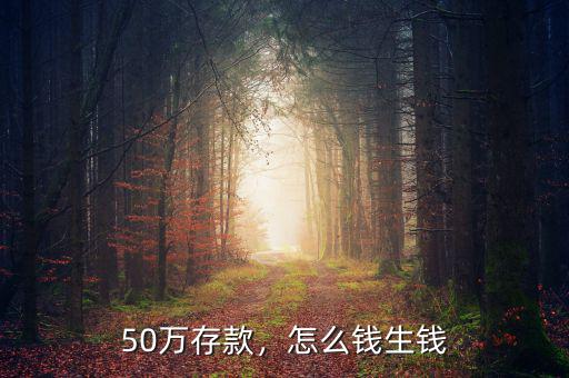 存款50萬(wàn)怎么理財(cái),本人現(xiàn)有50萬(wàn)存款