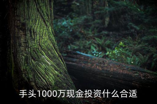 1000萬(wàn)投資什么,手上有1000萬(wàn)