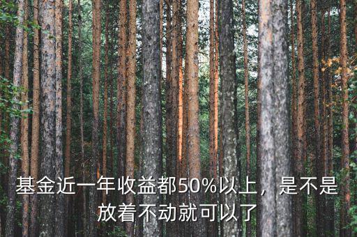 基金近一年收益都50%以上，是不是放著不動(dòng)就可以了