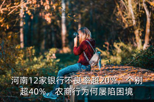 河南12家銀行不良率超20%，個別超40%，農(nóng)商行為何屢陷困境