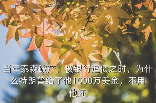 當(dāng)年泰森破產(chǎn)，被銀行追債之時(shí)，為什么特朗普給了他1000萬美金，不用他還